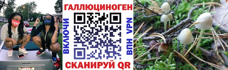 МЕГА ссылка  Пятигорск  Галлюциногенные грибы Cubensis 